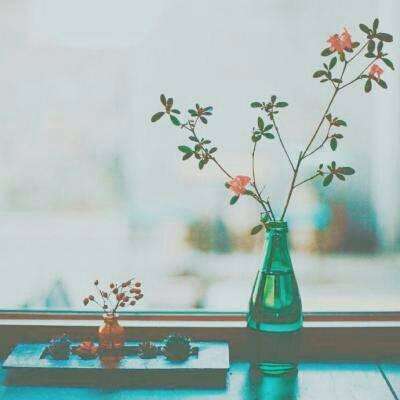 博喜体育官网下载