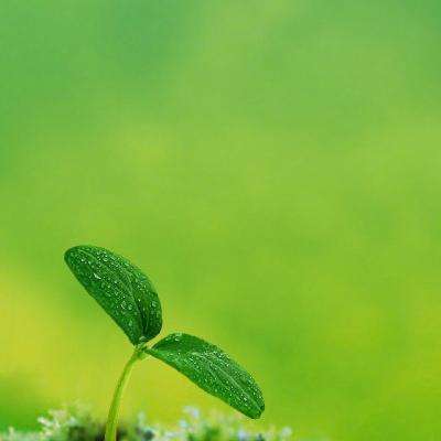 宝博游戏下载手机版