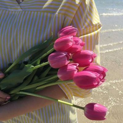 bsport体育在线登录下载手机版