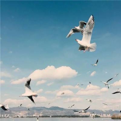 ag真人国际官网