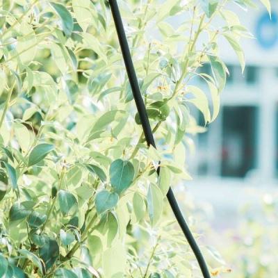 2023年新澳门今晚开特马手机app下载