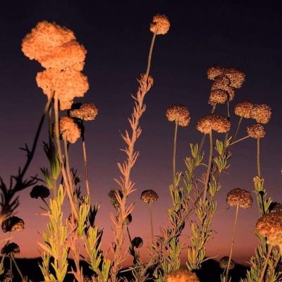 赛博体育手机app下载